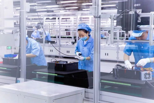 武漢黃陂 打造科技創新應用承載區，推動細胞技術研發與應用成果孵化